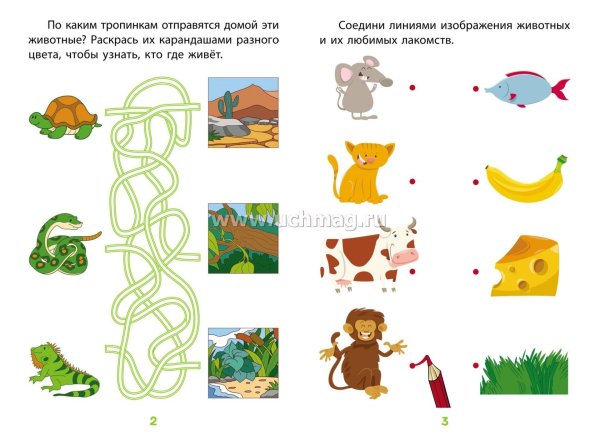 Окружающий мир для дошкольников