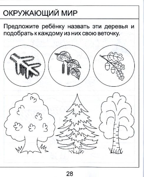 Задания по ознакомлению с окружающим для детей 5 6 лет