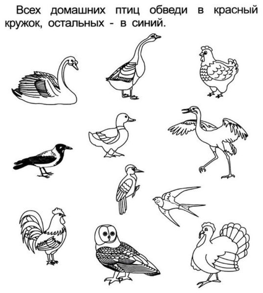 Перелетные и зимующие птицы задания для дошкольников