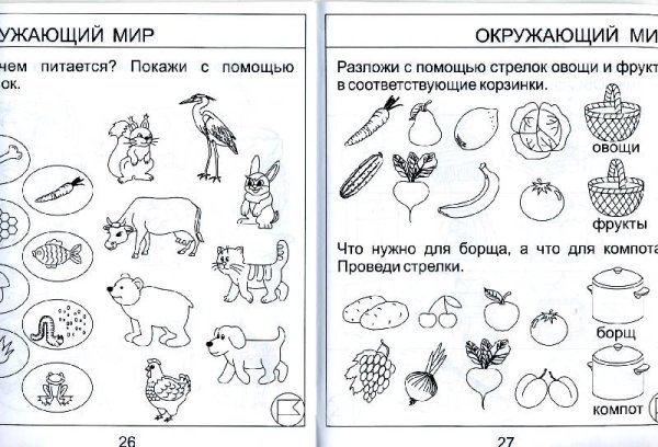 Задание для дошкольников 5 лет окружающий мир