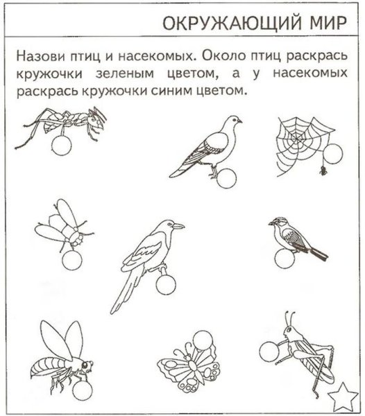 Задание для дошкольников 5 лет окружающий мир