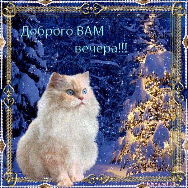 Хорошего зимнего вечера и отличного настроения