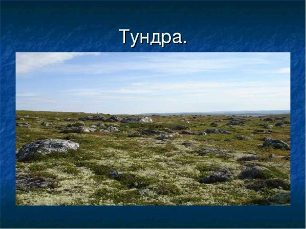 Тундра 4 класс