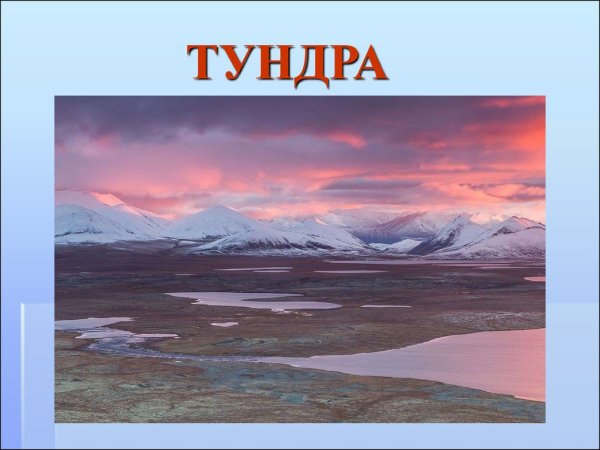 Тундра для детей