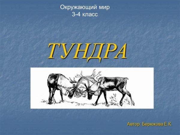 Что такое тундра 3 класс