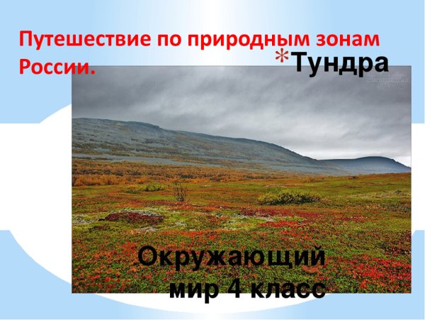 Тундра 4 класс окружающий мир
