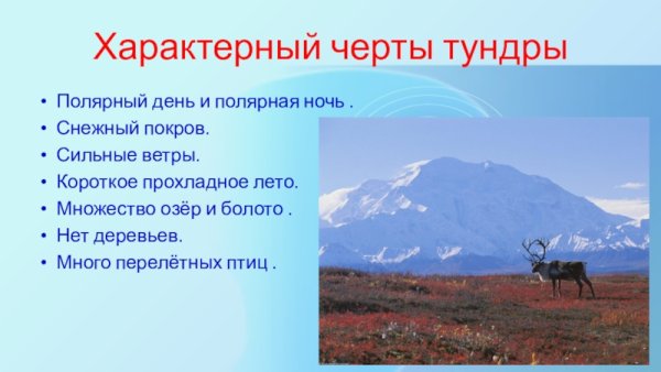 Природная зона тундра климат