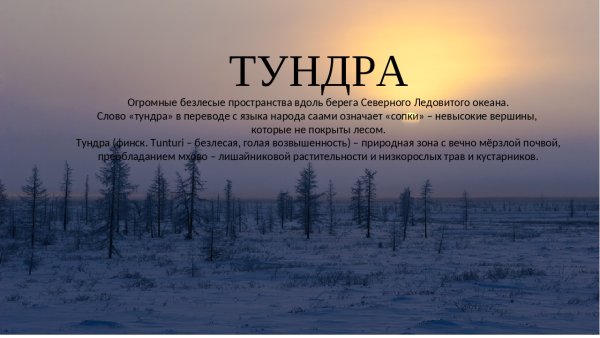 Презентация на тему тундра