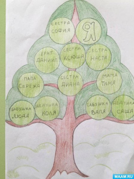 Детский рисунок семейное древо (51 фото)