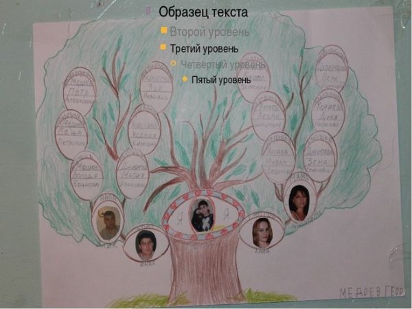 Проект по окружающему миру 2 класс родословная