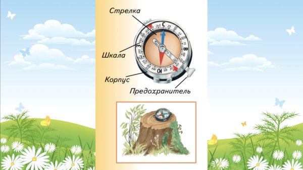 Ориентирование на местности по компасу 3 класс