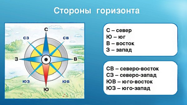 Роза ветров Север Юг Запад Восток