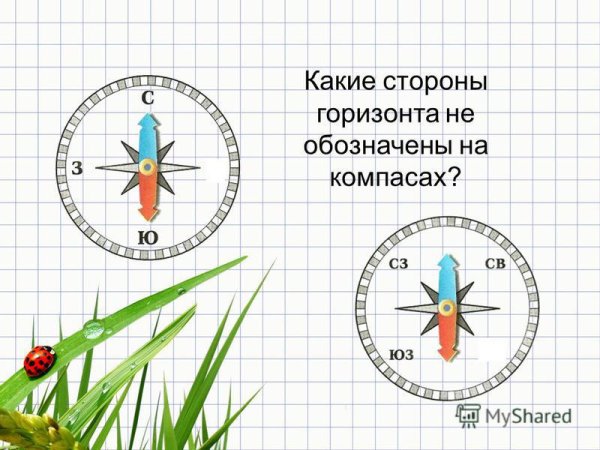 Стороны горизонта задания