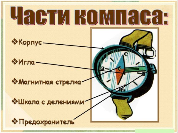 Из чего состоит компас