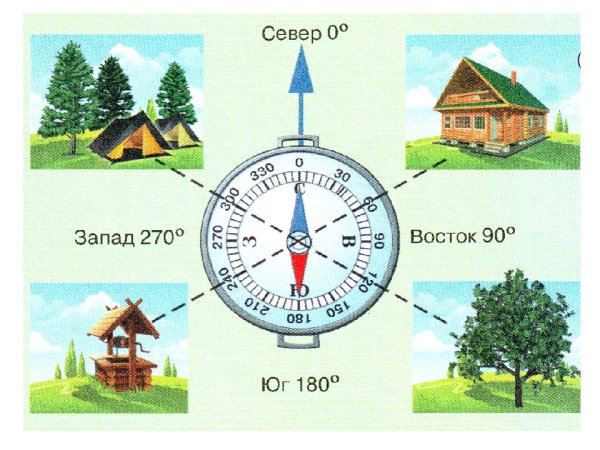 Стороны горизонта компас ориентирование на местности