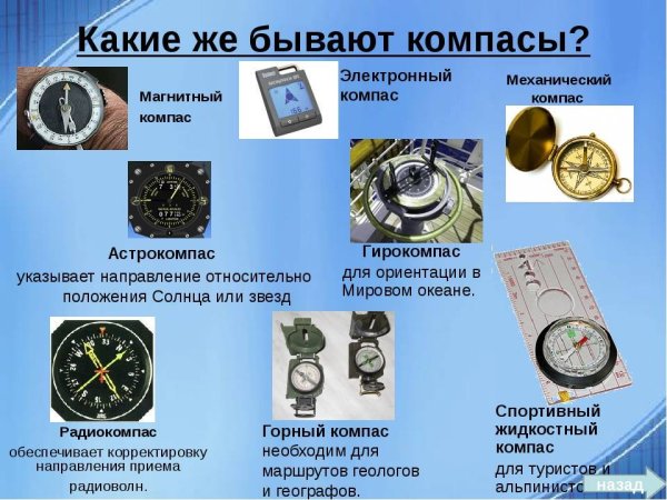 Компас разные виды