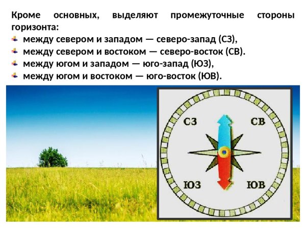 Главные и промежуточные стороны горизонта