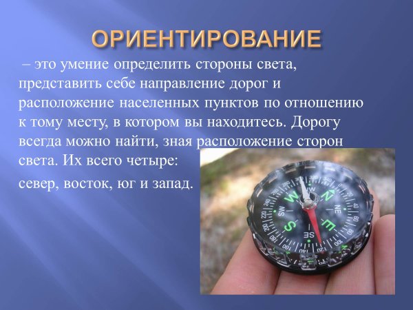 Ориентирование на местности по географии