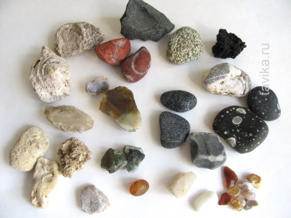 Прочтите эти советы перед тем, как начать собирать коллекцию камней