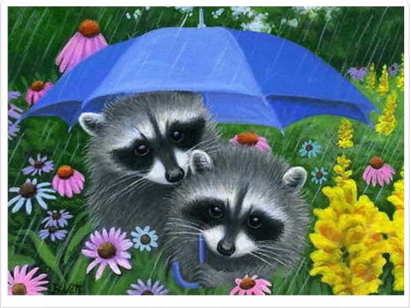 Енот под дождем