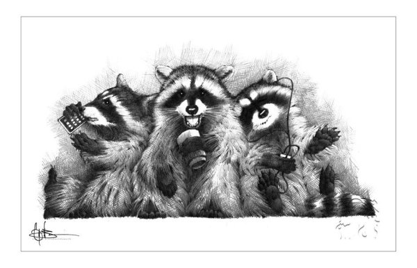 Енот рисунок