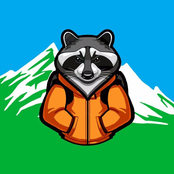 Логотип енот турист