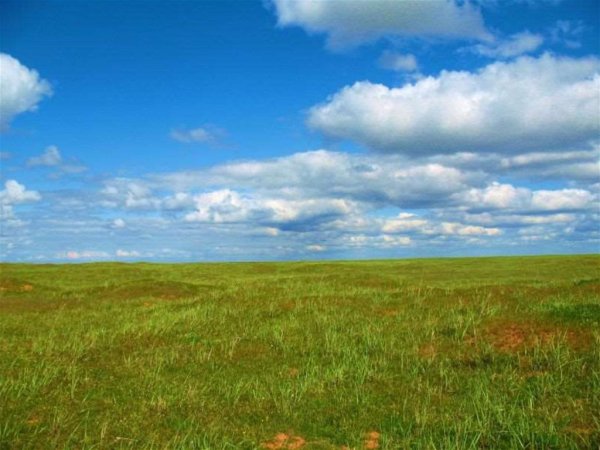 Степная зона России