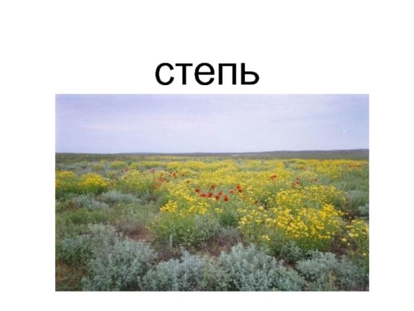 Степь надпись