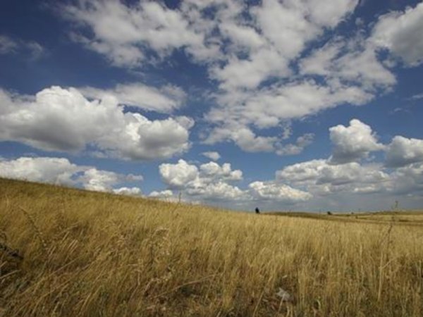 Что такое степь 4 класс