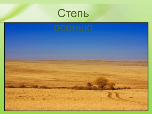 Зона степей в России