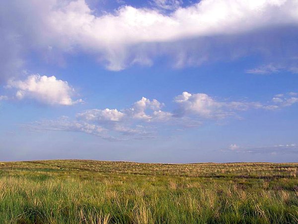 Степная зона России