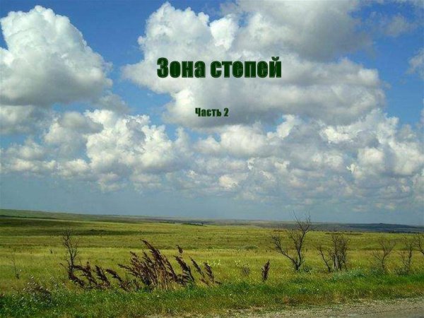 Презентация Степная зона