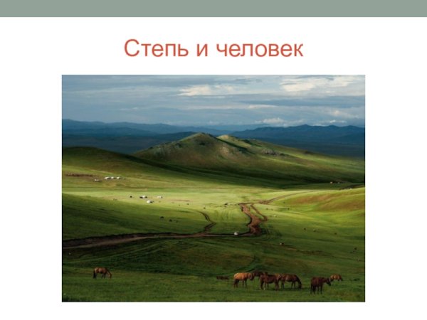 Степ по окружающему мир