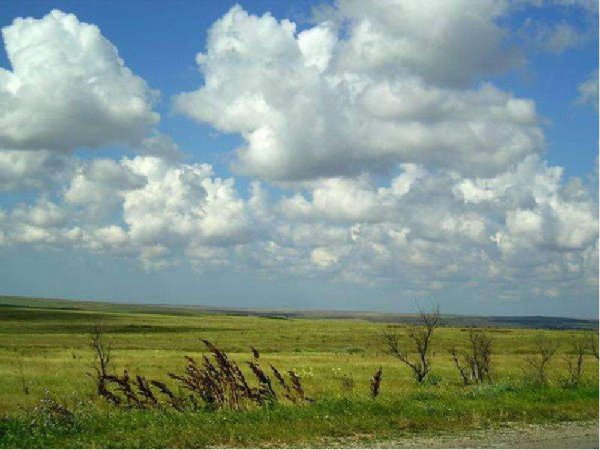 Климат степи