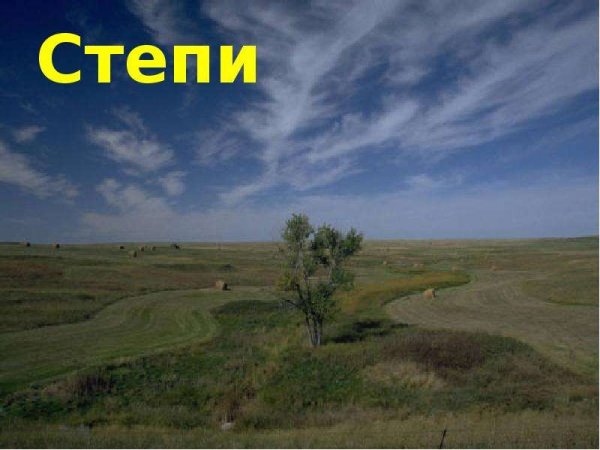 Степь презентация