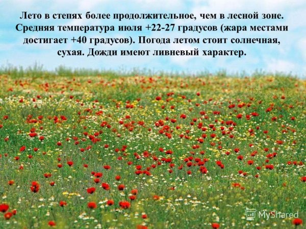 Зона степей 4 класс окружающий мир