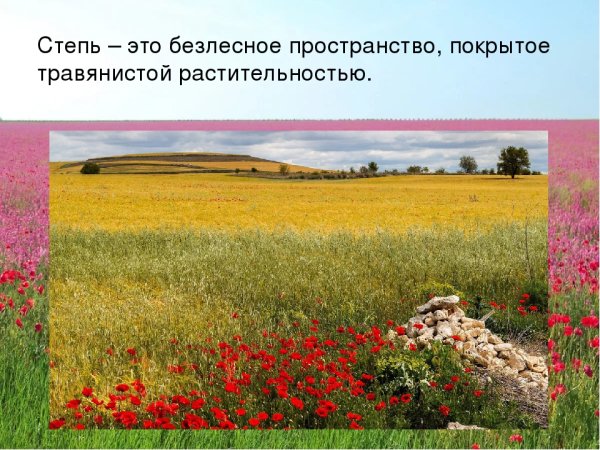 Презентация на тему степь