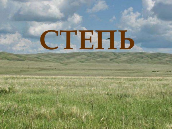 Степи 4 класс окружающий мир