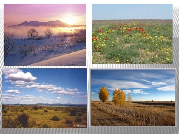 Зоны России степь 4 класс