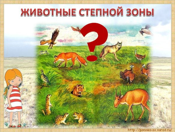 Рисунок природной зоны степи