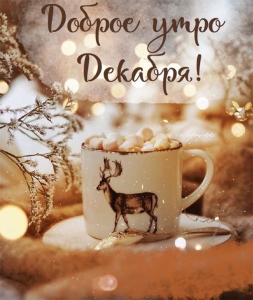 Доброе зимнее утро