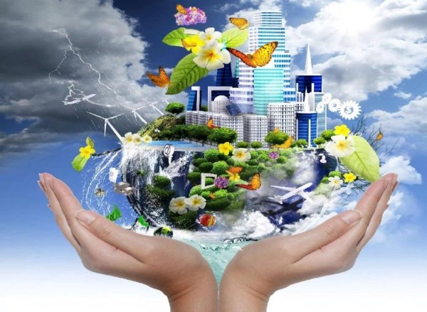 Мир экологии