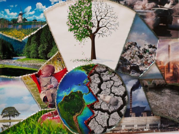 Экологический коллаж