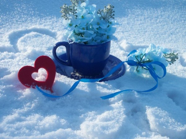 Доброе утро зима цветы