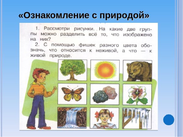 Иллюстрации ознакомление с природой