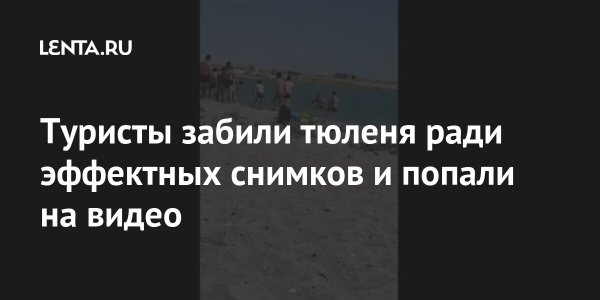 В Казахстане забили тюленя