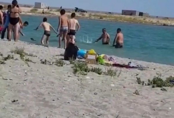 Дураки на пляже