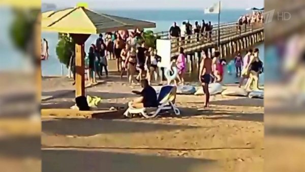 Нападение акулы в Хургаде