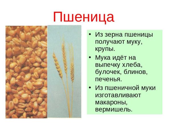 Крупы из зерна пшеницы