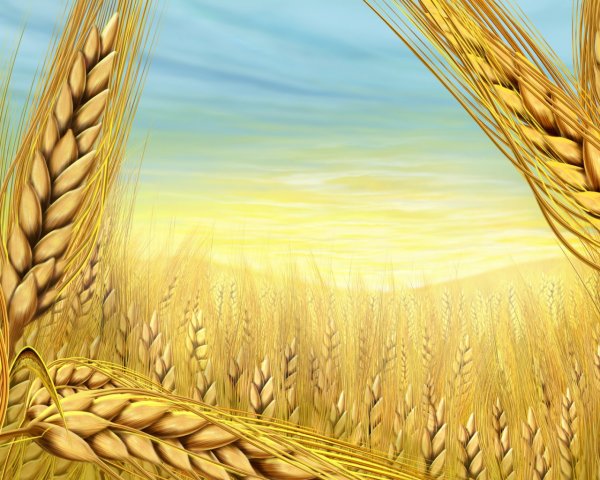 Рамка сельское хозяйство